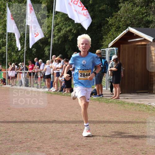 08.09.2024 - Airport Race Strokosch-Dieckow http://msf.ph/oto/7008521 08.09.2024 12:02:07 Ziel 585, 2844 meine-sportfotos.de