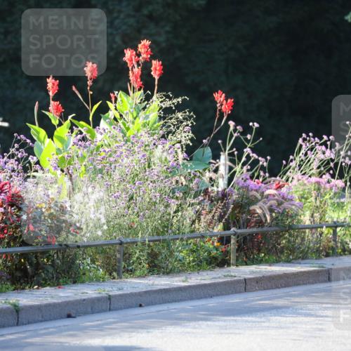 08.09.2024 - Stadtparktriathlon Zöllner http://msf.ph/oto/7008603 08.09.2024 08:53:12 Radfahren 8, 24, 30, 46, 58, 67, 82 meine-sportfotos.de