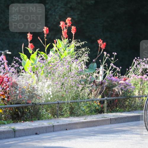 08.09.2024 - Stadtparktriathlon Zöllner http://msf.ph/oto/7008606 08.09.2024 08:53:12 Radfahren 8, 24, 30, 46, 58, 67, 82 meine-sportfotos.de