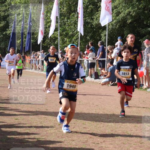 08.09.2024 - Airport Race Strokosch-Dieckow http://msf.ph/oto/7008667 08.09.2024 11:29:06 Ziel 1736, 1744, 1765, 1811, 1813, 1826, 1846, 1847, 1859, 1865, 1935, 1940, 3411, 3450 meine-sportfotos.de