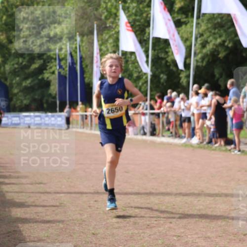 08.09.2024 - Airport Race Strokosch-Dieckow http://msf.ph/oto/7008838 08.09.2024 12:02:20 Ziel 2508, 2650, 2669 meine-sportfotos.de