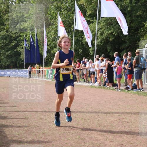 08.09.2024 - Airport Race Strokosch-Dieckow http://msf.ph/oto/7008856 08.09.2024 12:02:21 Ziel 2508, 2650, 2669 meine-sportfotos.de