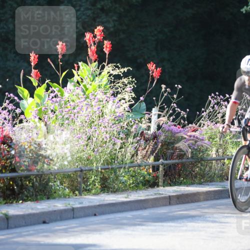 08.09.2024 - Stadtparktriathlon Zöllner http://msf.ph/oto/7008862 08.09.2024 08:53:42 Radfahren 53, 61, 88 meine-sportfotos.de