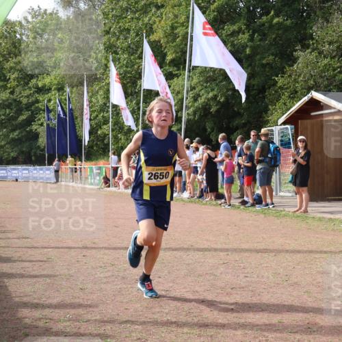08.09.2024 - Airport Race Strokosch-Dieckow http://msf.ph/oto/7008874 08.09.2024 12:02:21 Ziel 2508, 2650, 2669 meine-sportfotos.de