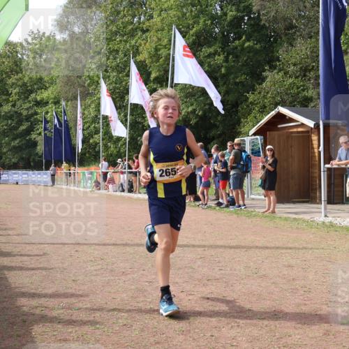 08.09.2024 - Airport Race Strokosch-Dieckow http://msf.ph/oto/7008896 08.09.2024 12:02:21 Ziel 2508, 2650, 2669 meine-sportfotos.de