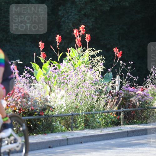 08.09.2024 - Stadtparktriathlon Zöllner http://msf.ph/oto/7008926 08.09.2024 08:53:56 Radfahren 6, 7, 13, 14, 16 meine-sportfotos.de