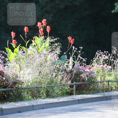 08.09.2024 - Stadtparktriathlon Zöllner http://msf.ph/oto/7008931 08.09.2024 08:53:56 Radfahren 6, 7, 13, 14, 16 meine-sportfotos.de
