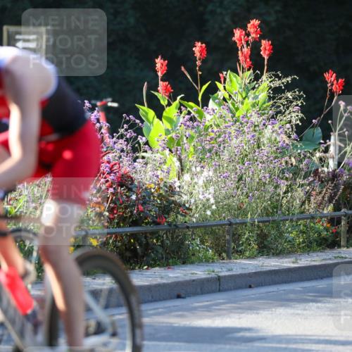 08.09.2024 - Stadtparktriathlon Zöllner http://msf.ph/oto/7008959 08.09.2024 08:53:58 Radfahren 6, 7, 13, 14, 16, 64 meine-sportfotos.de