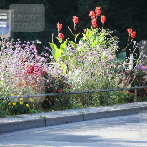 08.09.2024 - Stadtparktriathlon Zöllner http://msf.ph/oto/7008961 08.09.2024 08:53:59 Radfahren 6, 7, 13, 14, 16, 64 meine-sportfotos.de