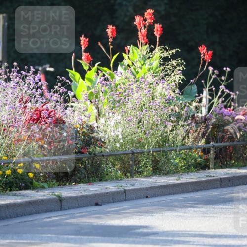 08.09.2024 - Stadtparktriathlon Zöllner http://msf.ph/oto/7008967 08.09.2024 08:53:59 Radfahren 6, 7, 13, 14, 16, 64 meine-sportfotos.de