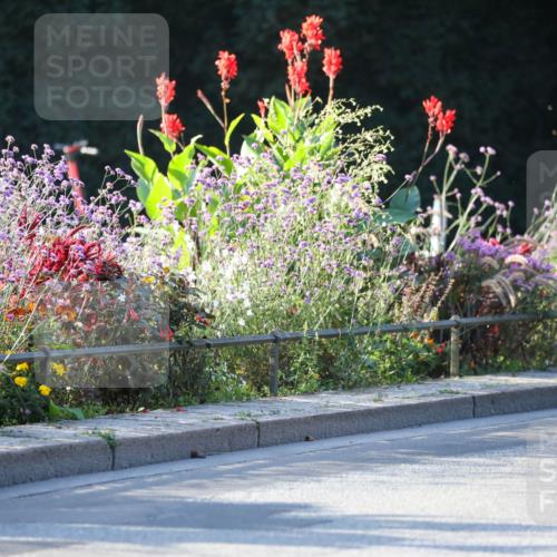 08.09.2024 - Stadtparktriathlon Zöllner http://msf.ph/oto/7008972 08.09.2024 08:53:59 Radfahren 6, 7, 13, 14, 16, 64 meine-sportfotos.de