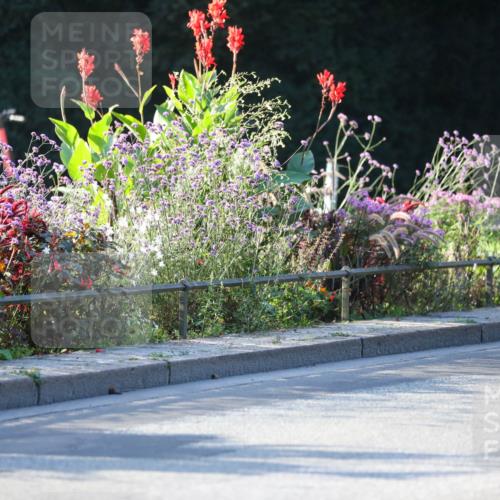 08.09.2024 - Stadtparktriathlon Zöllner http://msf.ph/oto/7009011 08.09.2024 08:54:00 Radfahren 6, 7, 13, 16, 64 meine-sportfotos.de
