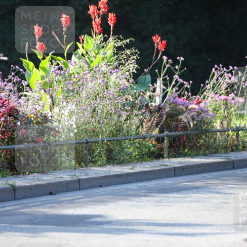 08.09.2024 - Stadtparktriathlon Zöllner http://msf.ph/oto/7009020 08.09.2024 08:54:00 Radfahren 6, 7, 13, 16, 64 meine-sportfotos.de