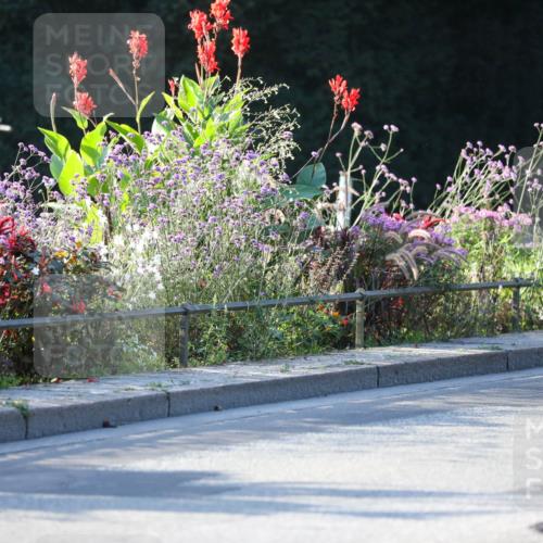 08.09.2024 - Stadtparktriathlon Zöllner http://msf.ph/oto/7009029 08.09.2024 08:54:00 Radfahren 6, 7, 13, 16, 64 meine-sportfotos.de