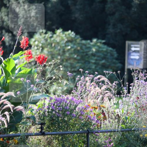 08.09.2024 - Stadtparktriathlon Zöllner http://msf.ph/oto/7009132 08.09.2024 08:54:13 Radfahren 69, 87 meine-sportfotos.de