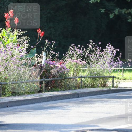 08.09.2024 - Stadtparktriathlon Zöllner http://msf.ph/oto/7010088 08.09.2024 08:58:06 Radfahren 15, 21, 23, 31, 35, 37, 40, 54, 55, 63, 72 meine-sportfotos.de