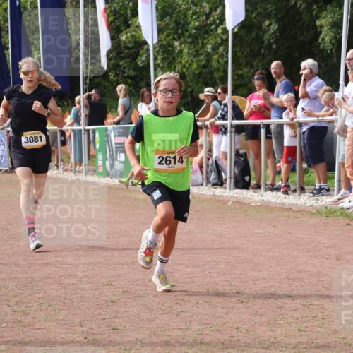 08.09.2024 - Airport Race Strokosch-Dieckow http://msf.ph/oto/7010113 08.09.2024 12:03:16 Ziel 2614, 3081 meine-sportfotos.de