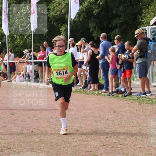 08.09.2024 - Airport Race Strokosch-Dieckow http://msf.ph/oto/7010147 08.09.2024 12:03:17 Ziel 2614, 3081 meine-sportfotos.de