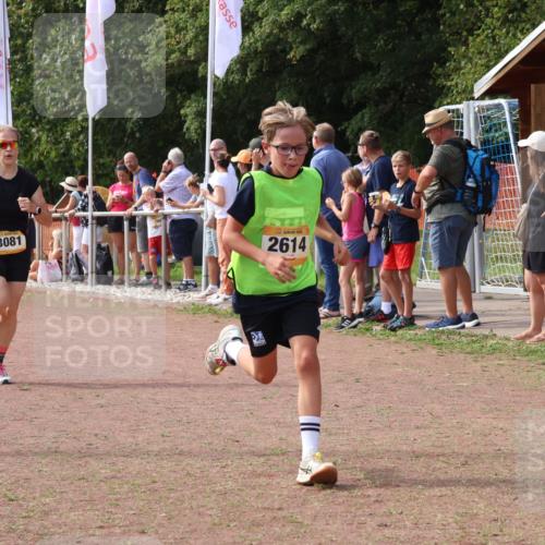 08.09.2024 - Airport Race Strokosch-Dieckow http://msf.ph/oto/7010164 08.09.2024 12:03:17 Ziel 2614, 3081 meine-sportfotos.de