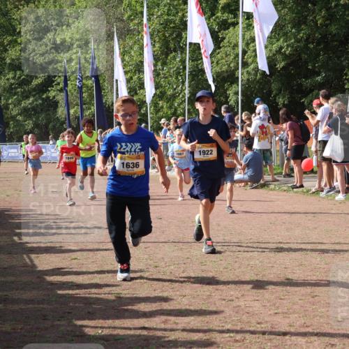 08.09.2024 - Airport Race Strokosch-Dieckow http://msf.ph/oto/7010280 08.09.2024 11:29:40 Ziel 1634, 1635, 1636, 1637, 1667, 1728, 1769, 1789, 1836, 1844, 1849, 1864, 1916, 1922, 3434 meine-sportfotos.de
