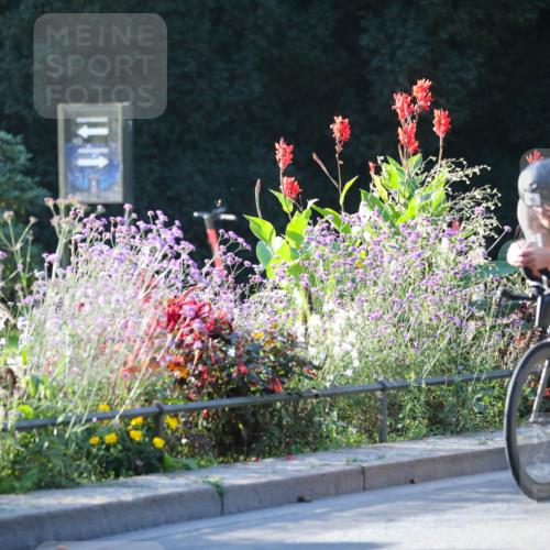 08.09.2024 - Stadtparktriathlon Zöllner http://msf.ph/oto/7010667 08.09.2024 09:00:25 Radfahren 11, 46, 67 meine-sportfotos.de