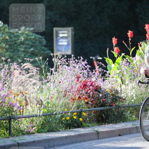 08.09.2024 - Stadtparktriathlon Zöllner http://msf.ph/oto/7010671 08.09.2024 09:00:25 Radfahren 11, 46, 67 meine-sportfotos.de
