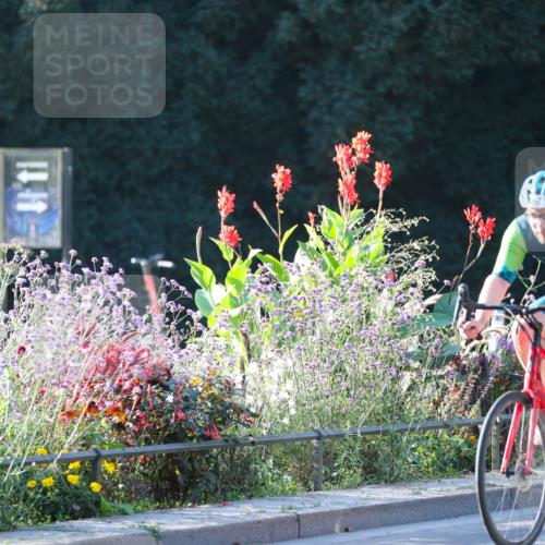08.09.2024 - Stadtparktriathlon Zöllner http://msf.ph/oto/7010712 08.09.2024 09:00:36 Radfahren 11, 67 meine-sportfotos.de