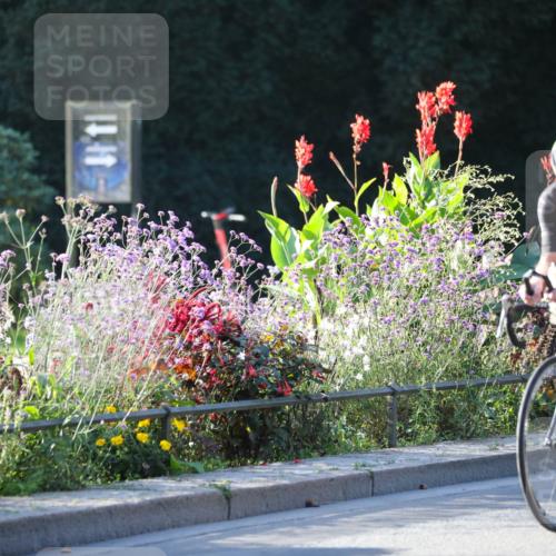 08.09.2024 - Stadtparktriathlon Zöllner http://msf.ph/oto/7010745 08.09.2024 09:00:51 Radfahren 6, 14, 17, 64 meine-sportfotos.de