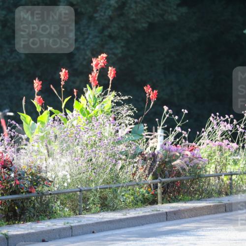 08.09.2024 - Stadtparktriathlon Zöllner http://msf.ph/oto/7010748 08.09.2024 09:00:53 Radfahren 6, 14, 17, 64 meine-sportfotos.de