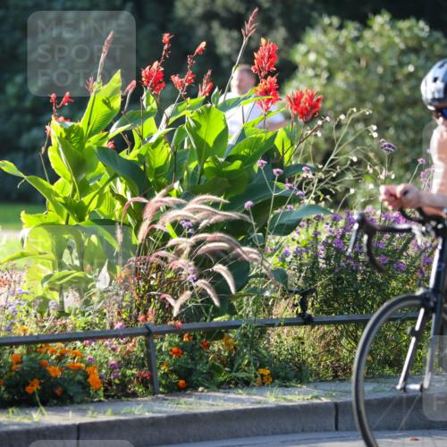 08.09.2024 - Stadtparktriathlon Zöllner http://msf.ph/oto/7010837 08.09.2024 09:01:21 Radfahren 106, 122, 126 meine-sportfotos.de
