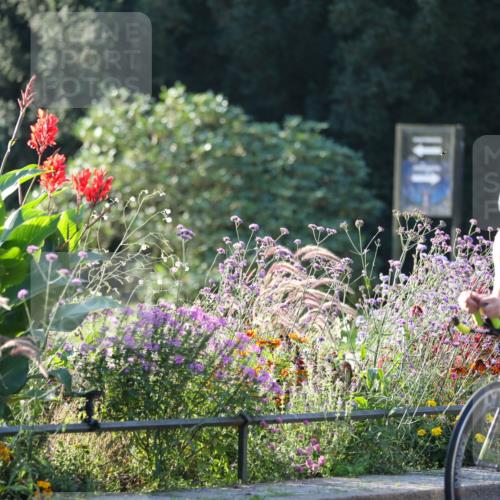 08.09.2024 - Stadtparktriathlon Zöllner http://msf.ph/oto/7010907 08.09.2024 09:01:30 Radfahren 19, 86, 106, 122 meine-sportfotos.de