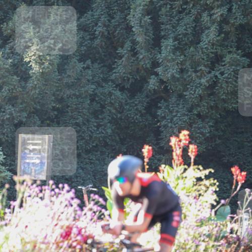 08.09.2024 - Stadtparktriathlon Zöllner http://msf.ph/oto/7010978 08.09.2024 09:03:25 Radfahren 53, 66, 98, 108, 112, 127 meine-sportfotos.de