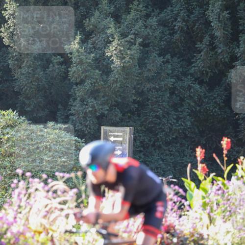 08.09.2024 - Stadtparktriathlon Zöllner http://msf.ph/oto/7010985 08.09.2024 09:03:26 Radfahren 53, 66, 98, 108, 112, 127 meine-sportfotos.de