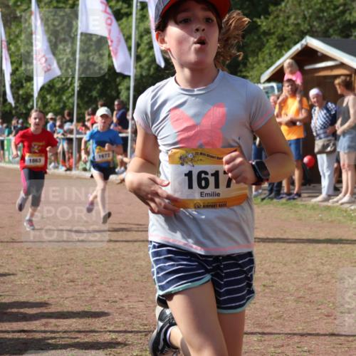 08.09.2024 - Airport Race Strokosch-Dieckow http://msf.ph/oto/7011822 08.09.2024 11:30:03 Ziel 1614, 1617, 1638, 1672, 1743, 1810, 1837, 1851, 1861, 1863, 1930, 3406, 3412, 3423, 3453 meine-sportfotos.de