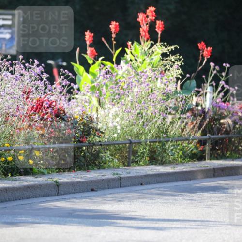 08.09.2024 - Stadtparktriathlon Zöllner http://msf.ph/oto/7012076 08.09.2024 09:09:18 Radfahren 15, 40, 63, 90 meine-sportfotos.de