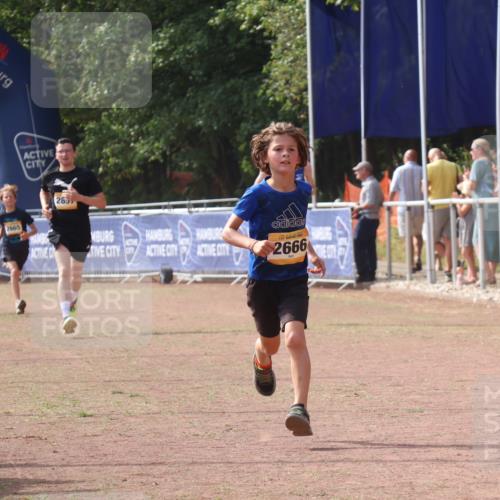 08.09.2024 - Airport Race Strokosch-Dieckow http://msf.ph/oto/7012399 08.09.2024 12:04:43 Ziel 687, 2666, 2857 meine-sportfotos.de