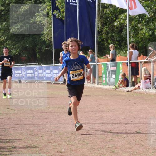 08.09.2024 - Airport Race Strokosch-Dieckow http://msf.ph/oto/7012412 08.09.2024 12:04:44 Ziel 687, 2666, 2845, 2857 meine-sportfotos.de