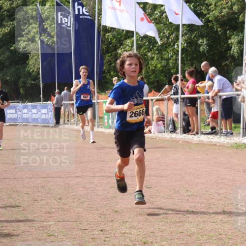 08.09.2024 - Airport Race Strokosch-Dieckow http://msf.ph/oto/7012432 08.09.2024 12:04:45 Ziel 687, 2666, 2845, 2857 meine-sportfotos.de