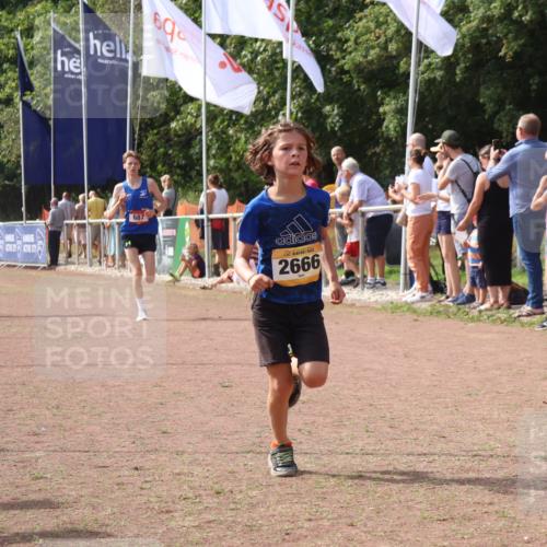 08.09.2024 - Airport Race Strokosch-Dieckow http://msf.ph/oto/7012455 08.09.2024 12:04:45 Ziel 687, 2666, 2845, 2857 meine-sportfotos.de