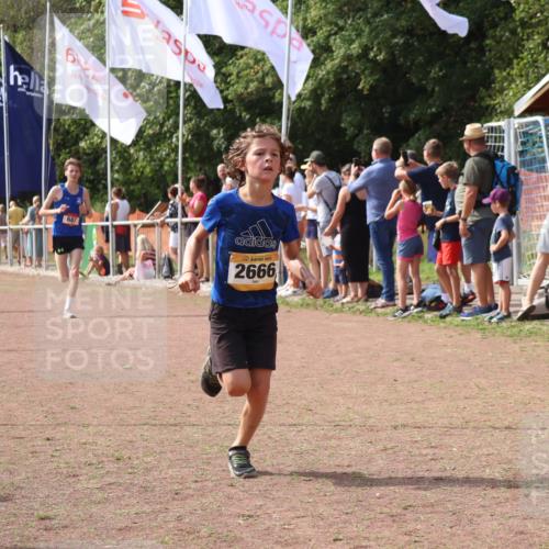 08.09.2024 - Airport Race Strokosch-Dieckow http://msf.ph/oto/7012484 08.09.2024 12:04:45 Ziel 687, 2666, 2845, 2857 meine-sportfotos.de