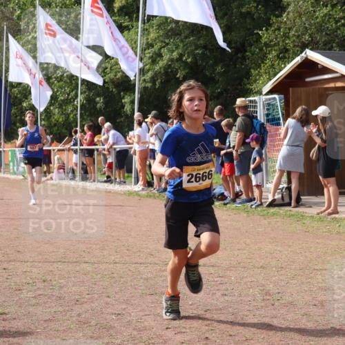 08.09.2024 - Airport Race Strokosch-Dieckow http://msf.ph/oto/7012503 08.09.2024 12:04:46 Ziel 687, 2666, 2845, 2857 meine-sportfotos.de