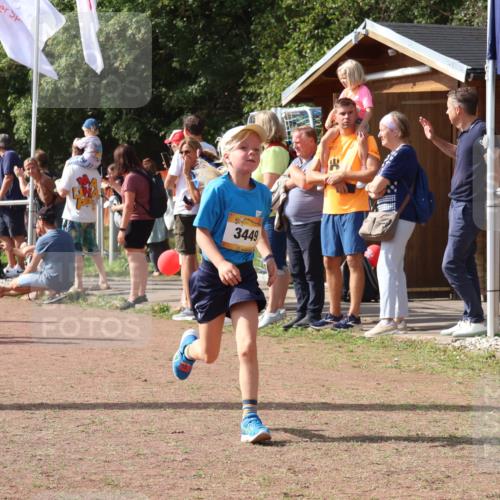 08.09.2024 - Airport Race Strokosch-Dieckow http://msf.ph/oto/7012725 08.09.2024 11:30:22 Ziel 1661, 1677, 1682, 1684, 1689, 1691, 1695, 1754, 1758, 1795, 1805, 1816, 1936, 3424, 3445, 3449 meine-sportfotos.de