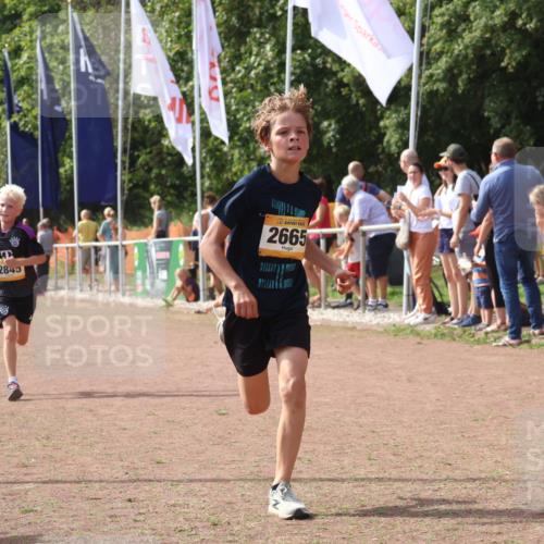 08.09.2024 - Airport Race Strokosch-Dieckow http://msf.ph/oto/7012727 08.09.2024 12:04:51 Ziel 2845, 2857 meine-sportfotos.de