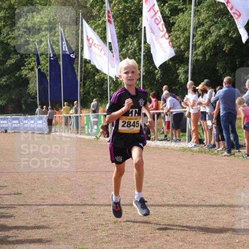 08.09.2024 - Airport Race Strokosch-Dieckow http://msf.ph/oto/7012839 08.09.2024 12:04:53 Ziel 2845 meine-sportfotos.de