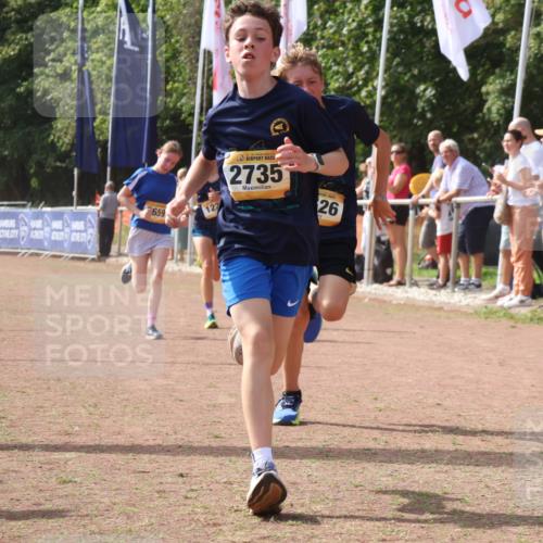 08.09.2024 - Airport Race Strokosch-Dieckow http://msf.ph/oto/7013535 08.09.2024 12:05:22 Ziel 1227, 2526, 2659, 2735 meine-sportfotos.de