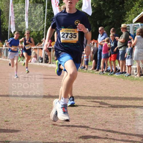 08.09.2024 - Airport Race Strokosch-Dieckow http://msf.ph/oto/7013552 08.09.2024 12:05:23 Ziel 1227, 2526, 2659, 2735 meine-sportfotos.de