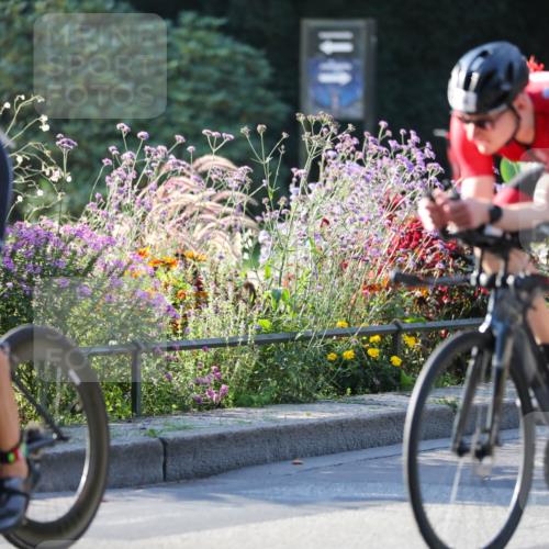 08.09.2024 - Stadtparktriathlon Zöllner http://msf.ph/oto/7013590 08.09.2024 09:14:56 Radfahren 16, 34, 46, 67, 93, 103, 120, 160, 178 meine-sportfotos.de
