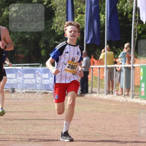 08.09.2024 - Airport Race Strokosch-Dieckow http://msf.ph/oto/7013653 08.09.2024 12:05:35 Ziel 52, 294, 2639, 2654, 2742, 2786, 2835, 2887, 3005, 3028 meine-sportfotos.de