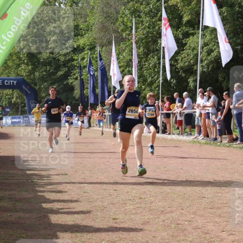 08.09.2024 - Airport Race Strokosch-Dieckow http://msf.ph/oto/7013753 08.09.2024 12:05:39 Ziel 52, 294, 2639, 2654, 2742, 2786, 2835, 2887, 3005, 3028 meine-sportfotos.de