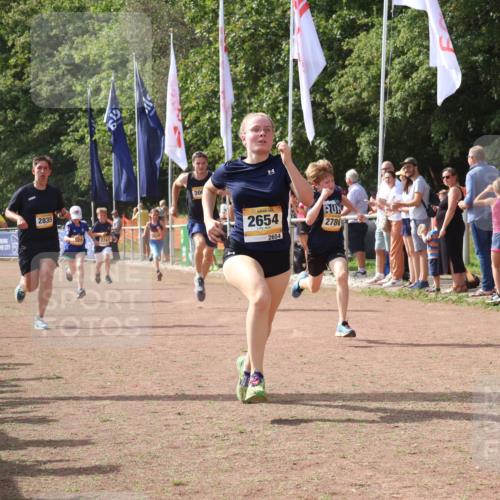 08.09.2024 - Airport Race Strokosch-Dieckow http://msf.ph/oto/7013771 08.09.2024 12:05:39 Ziel 52, 294, 2639, 2654, 2742, 2786, 2835, 2887, 3005, 3028 meine-sportfotos.de